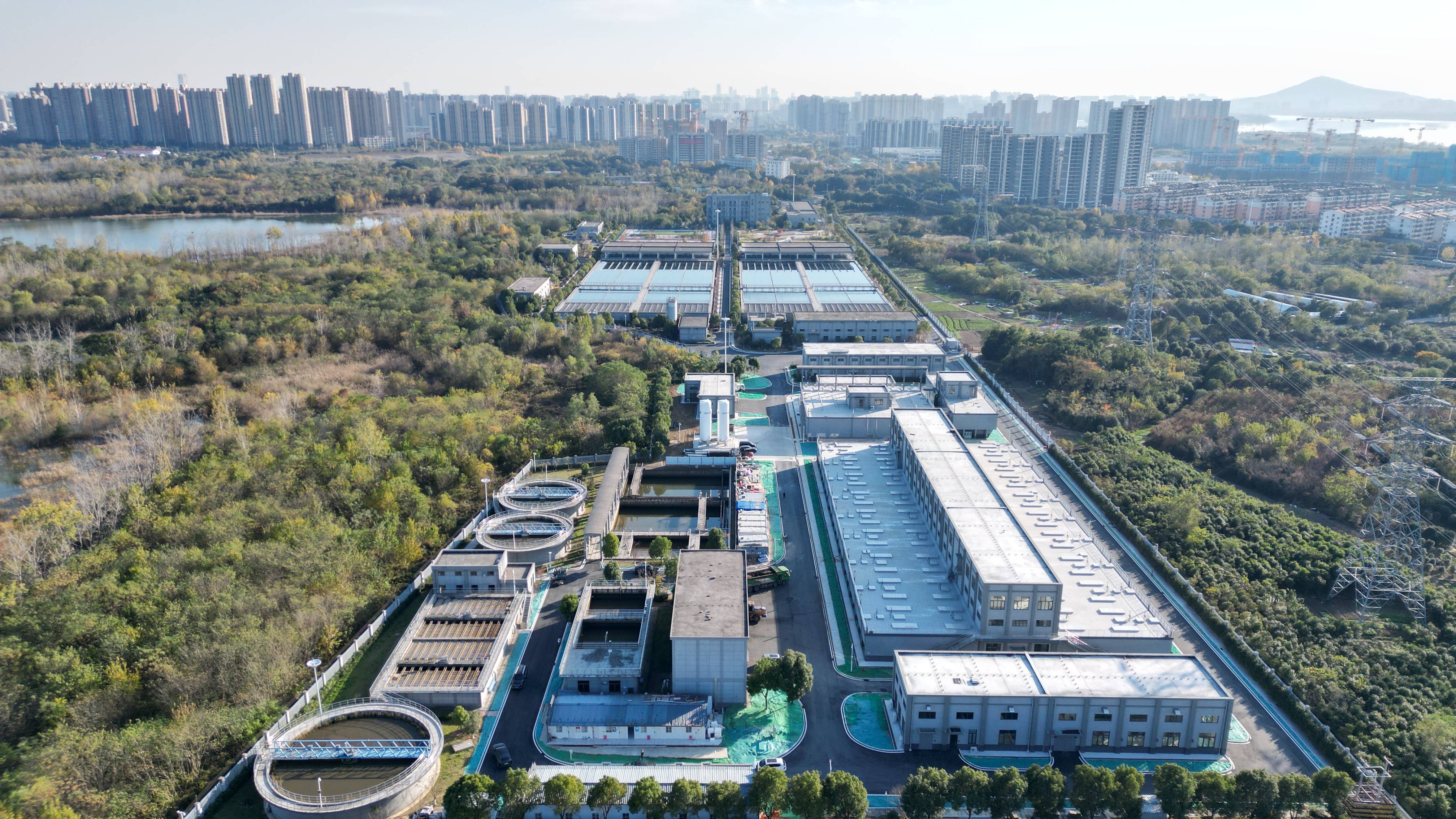 伊宁市合肥专业企业价值增长(合肥市重点企业产业目录)