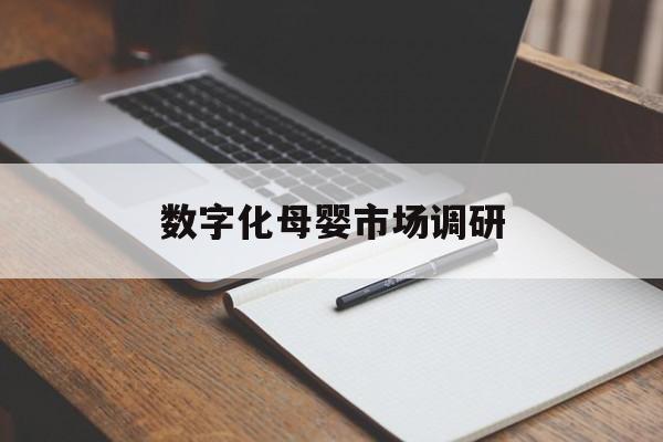 伊宁市数字化母婴市场调研(数字化母婴市场调研报告)